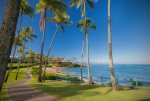 Relax under the shade of a palm tree on Napili Bay, just a quick walk or shuttle drive away